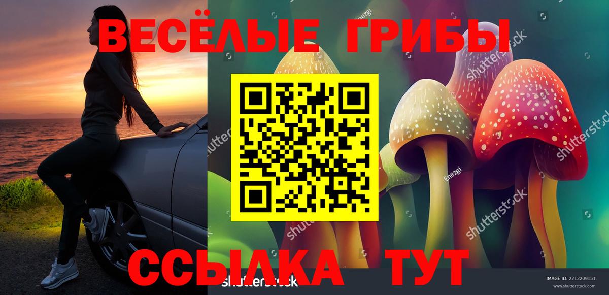 Галлюциногенные грибы GOLDEN TEACHER Коряжма